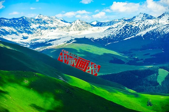 將夏天的“綠” 裝進(jìn)屏幕里，一組護(hù)眼壁紙請查收！