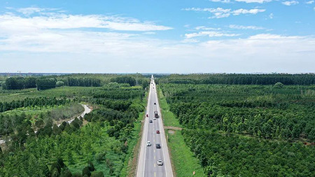 只此青綠，中國(guó)“雙碳”雄心背后的山河夢(mèng) 