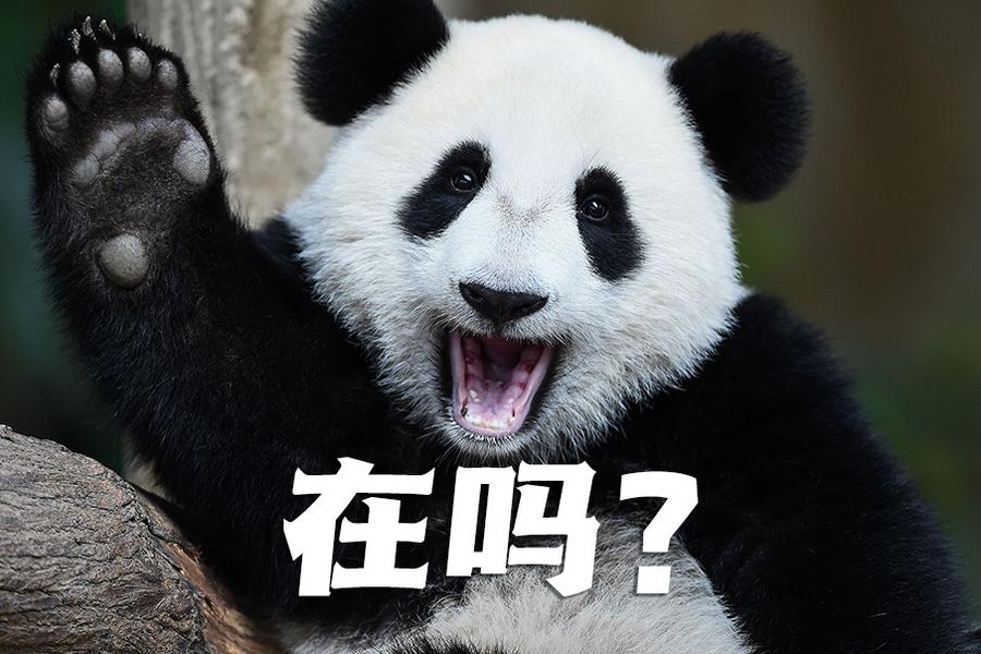 【世界微笑日特刊】嘿嘿，今天你笑了嗎？